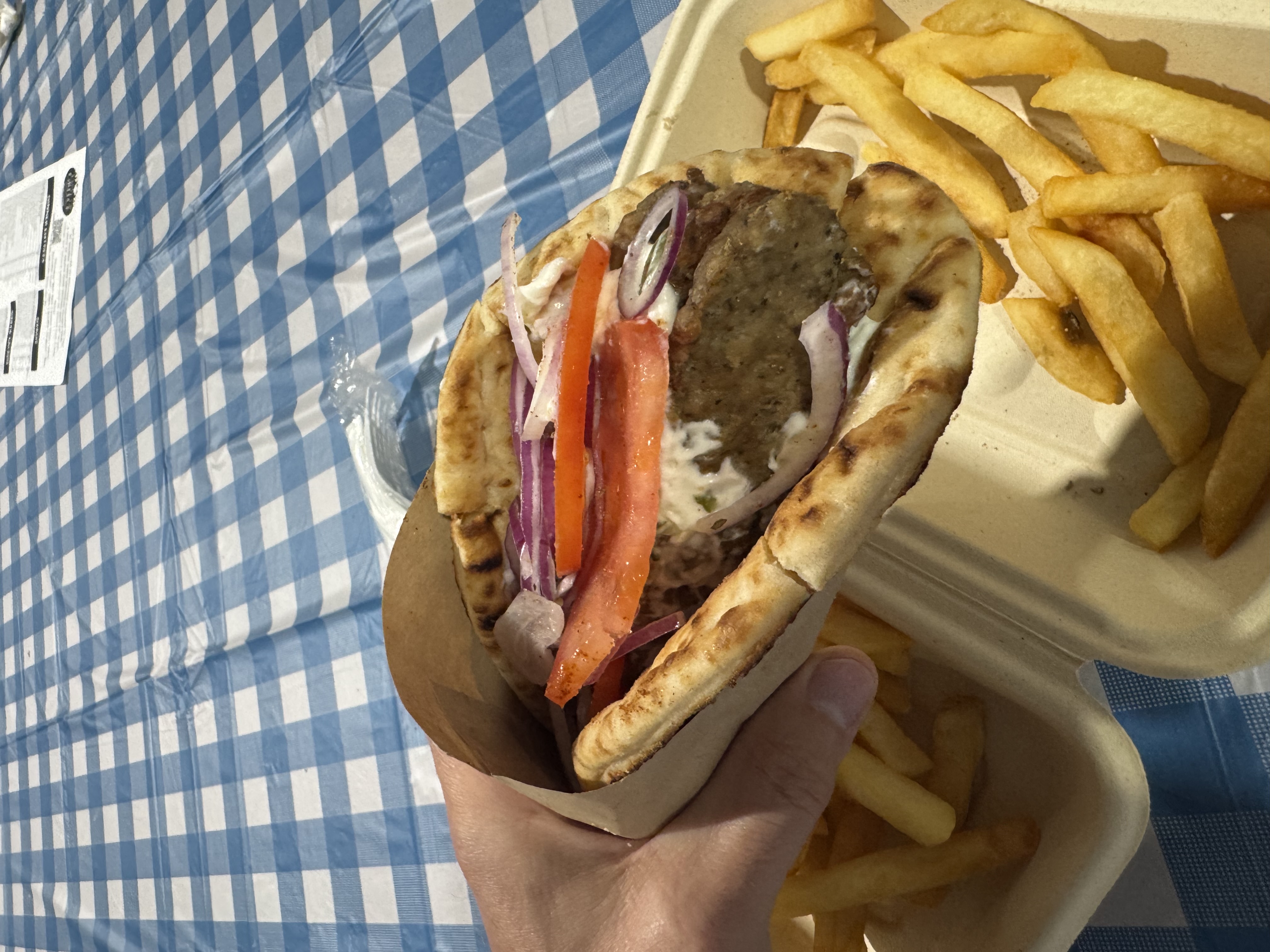 Classic Gyro w/ fries